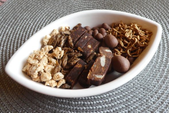 Hyönteisistä valmistettuja snackseja tarjoiluastialla
